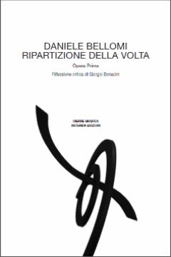 Daniele Bellomi: Ripartizione della volta