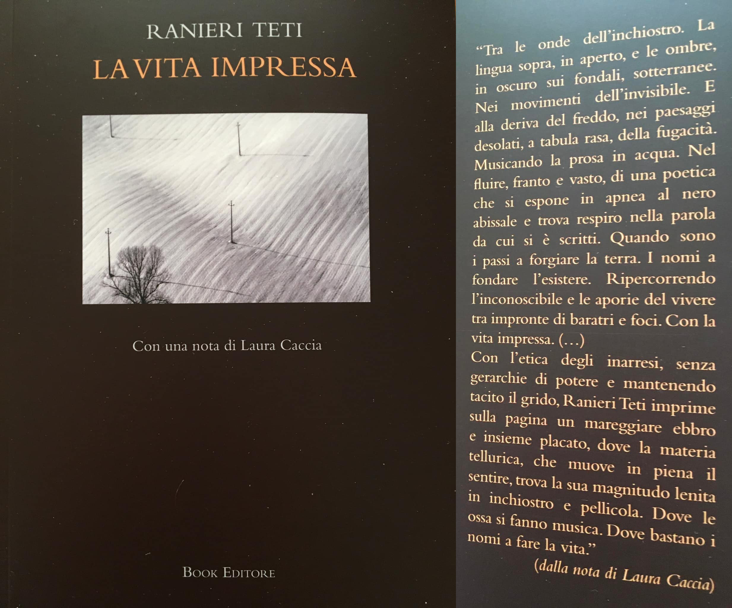 Copertina libro 'Dispositivi' di Stefano Guglielmin