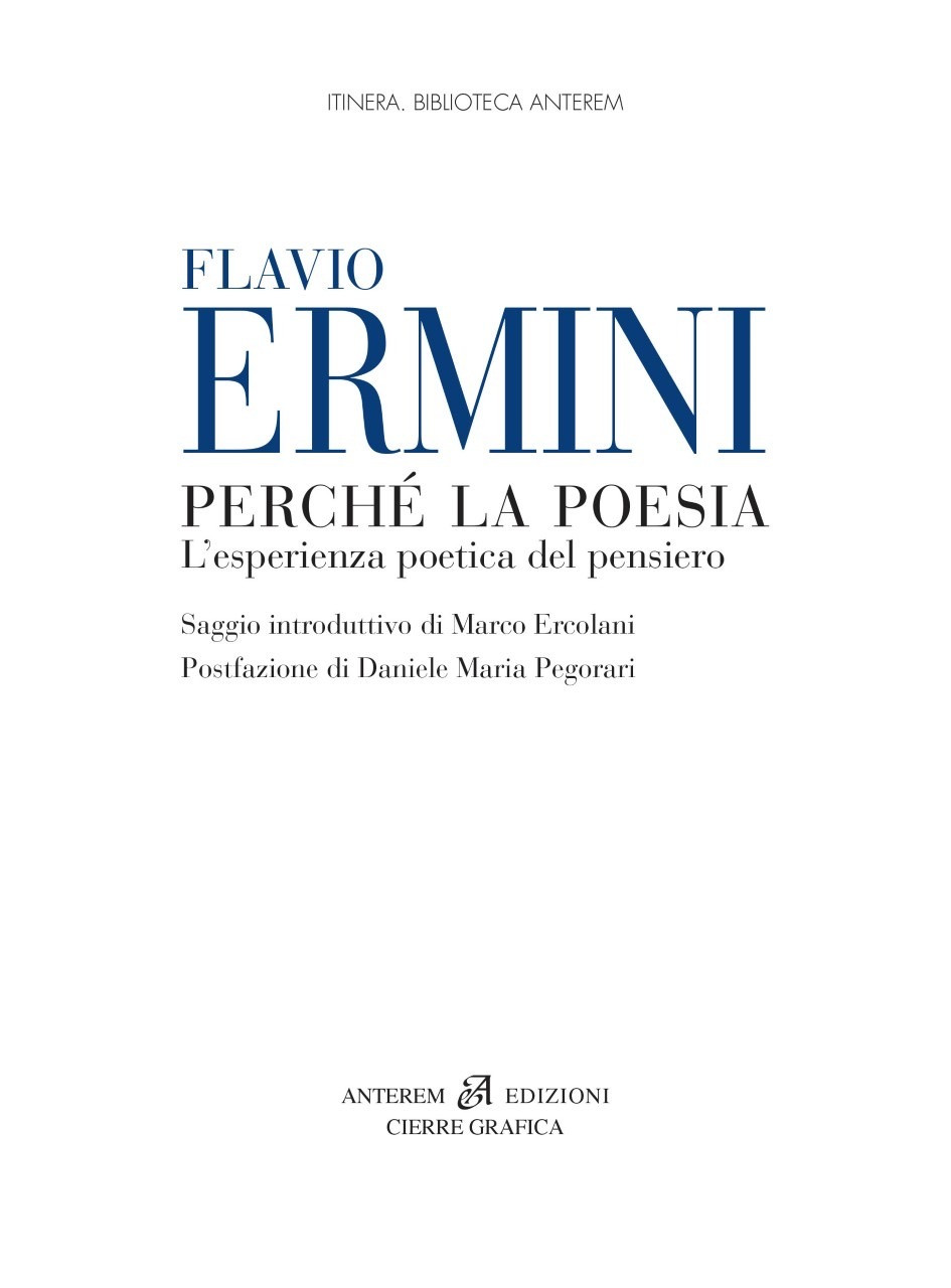 Il nuovo libro di Flavio Ermini